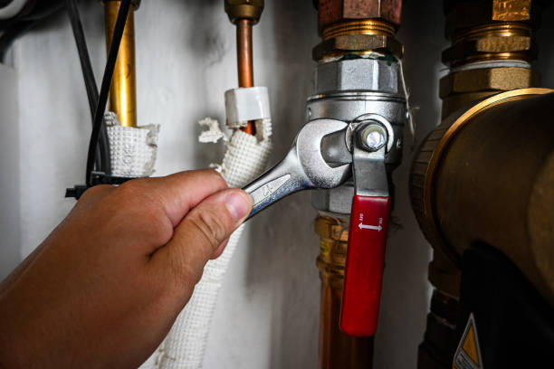 Best Clogged Drain Plumber  in Grafton, ND